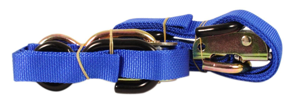 Universal Tie Down Set - Blue