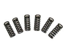 Load image into Gallery viewer, High Performance Clutch Springs - Set/6 - XS650 Direct